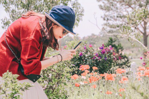 Flower Delivery App Builder – Create Your Uber Flower Delivery Flower Delivery App Builder – Create Your Uber Flower Delivery