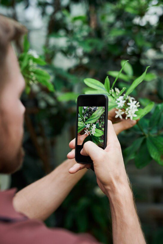 Why Should you build a flower delivery app in Shoutem app builder